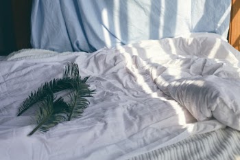 Unsplash ID V_SrQ32BFnE