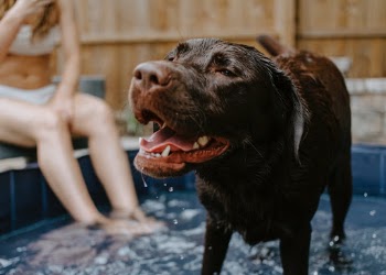 Unsplash ID v070ZnVSaXM
