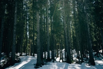 Unsplash ID v27TBVCAyVs
