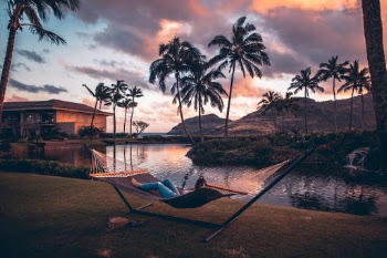 Unsplash ID v41a6J4Zrs4