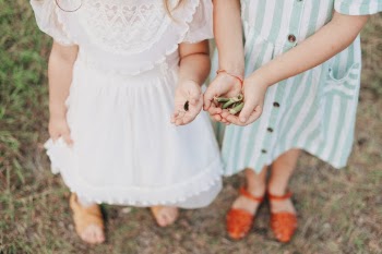 Unsplash ID V4J6PIPvY7w