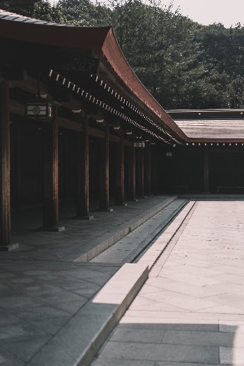 Unsplash ID V8FpLiaQG0s