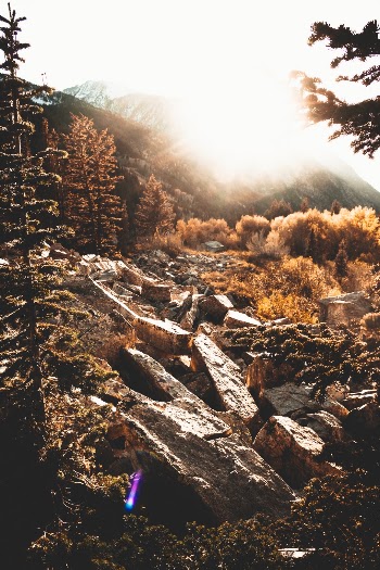 Unsplash ID v8Xk9XN5rRQ