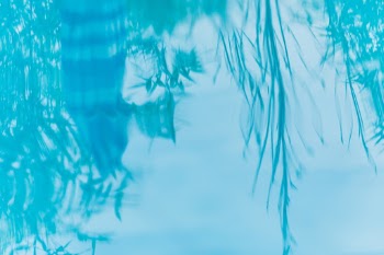 Unsplash ID VaqaQiDhxKw