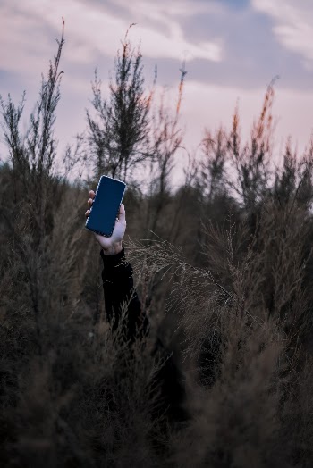 Unsplash ID vAWEJmXUpvI