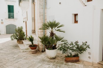 Unsplash ID VAXetAO-9nc