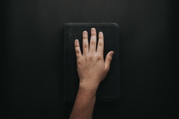 Unsplash ID vfUrwZnp348