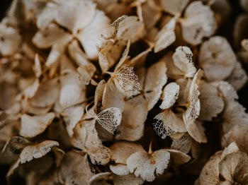 Unsplash ID vFyZINrCoYg