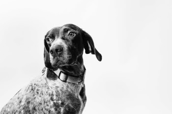 Unsplash ID VGkq_um-IdE