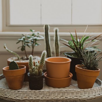 Unsplash ID vGW9j6YMwp0