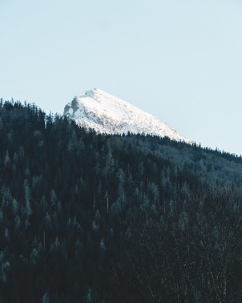 Unsplash ID vHf5iYcdosw