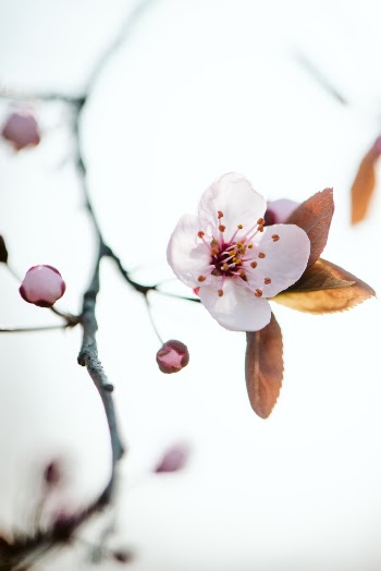 Unsplash ID VIsMQquTMRk