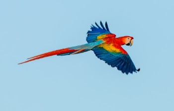 Unsplash ID vIx55PnjL58