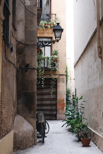 Unsplash ID vJEjcth6hcY