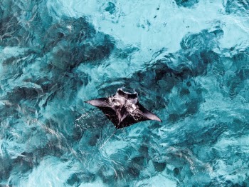 Unsplash ID vL9vTupr3FA