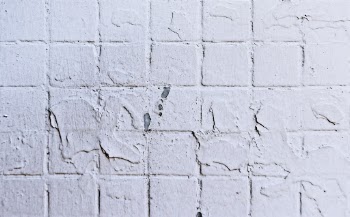 Unsplash ID vmlWAtJ_qiA