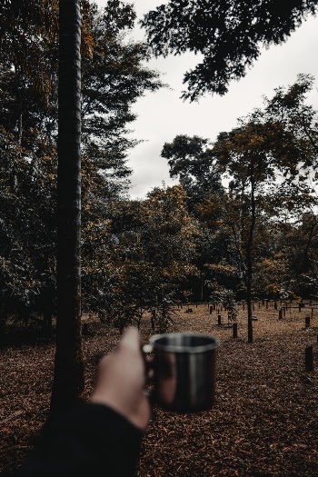 Unsplash ID VNTmRRXqjPM