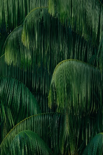 Unsplash ID VpmE7AbDg0A