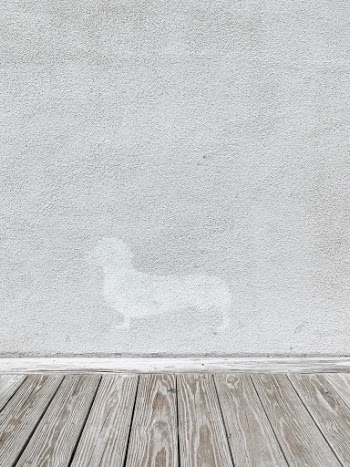 Unsplash ID VpnYLkpK1QQ