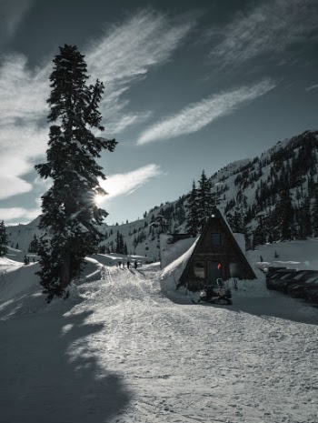 Unsplash ID vQ870zvzJV0