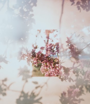 Unsplash ID vRccXUTZBp8