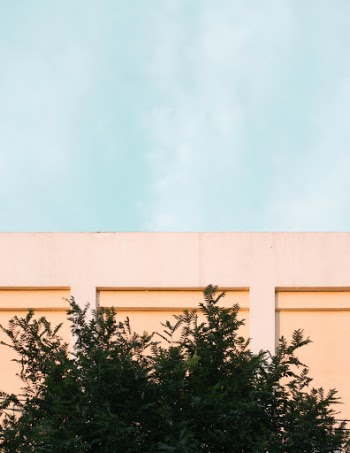 Unsplash ID VRpKLvi5UGI