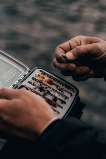 Unsplash ID VsKPYbWiY1U