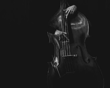 Unsplash ID vSws0g1KjxI