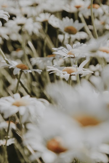 Unsplash ID Vud1hI9BEm8