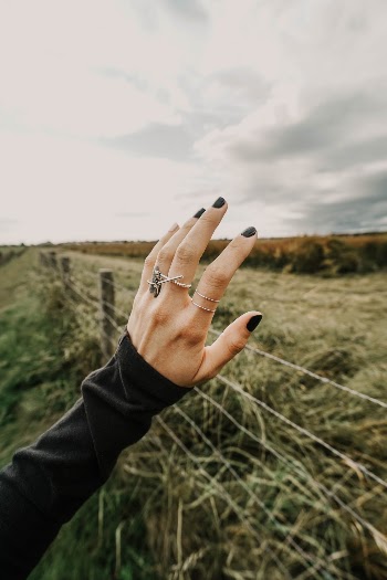 Unsplash ID vv-QsIpaoEg