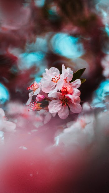 Unsplash ID vvpaOa08GGY