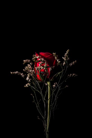 Unsplash ID VvWIJSDAO-E