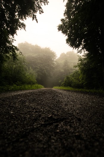 Unsplash ID vwMBY66ED6Y