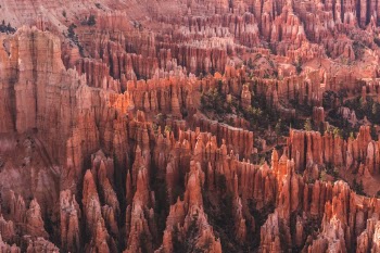 Unsplash ID VxmGQxsapCM