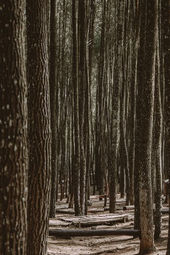 Unsplash ID VxmknM9oy_M