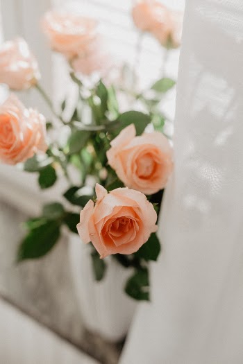 Unsplash ID VxWWtwqvStw
