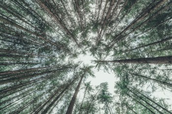 Unsplash ID w1Y8iLFT2ds