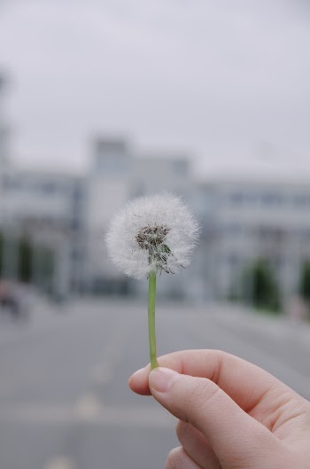 Unsplash ID w1ZpeRjj_CY