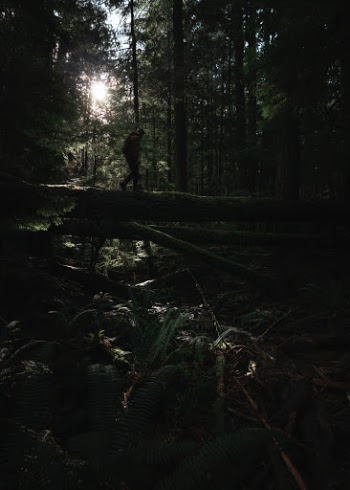 Unsplash ID W2KxOhKyVlk