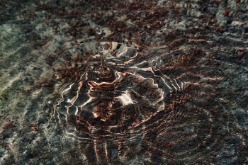 Unsplash ID w7v4vUHvkNY