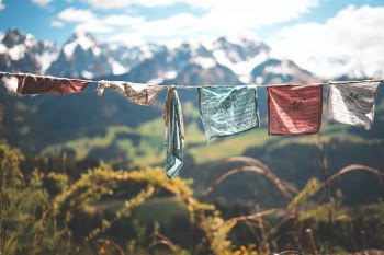 Unsplash ID W8dv8fPtoPY