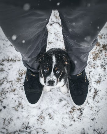 Unsplash ID w9-Jt0OIPwY