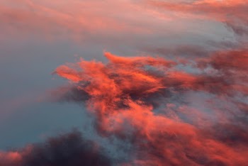 Unsplash ID wb600PbWTyQ