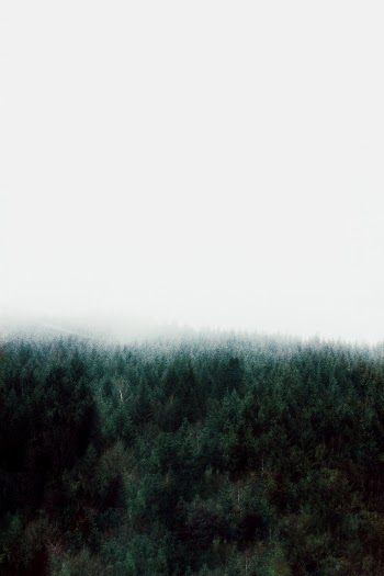 Unsplash ID wbmoNOTtB1Y
