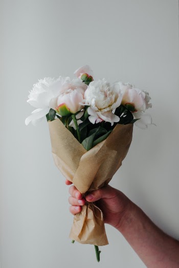 Unsplash ID WCkWGoHHNOM