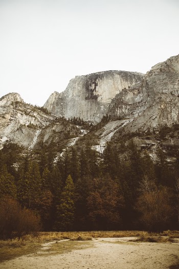 Unsplash ID WdJetqSIlp4