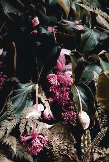 Unsplash ID wEKHPa-f56A