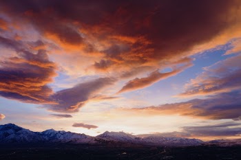 Unsplash ID WERmuj7zRj8