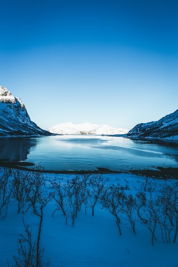 Unsplash ID wf2r1US9Ge4