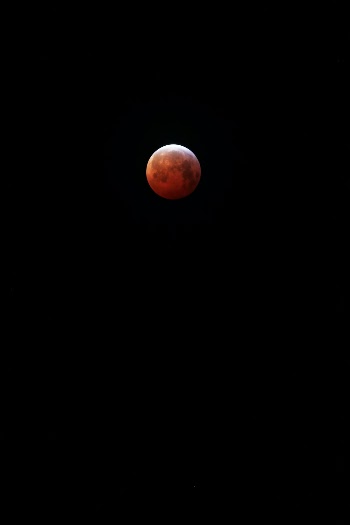 Unsplash ID wGBmXQoHtdA